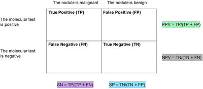 Molecular diagnostics in the evaluation of thyroid nodules: Current use and prospective opportunities